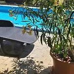 Diofa Vendeghazak Gasthuis