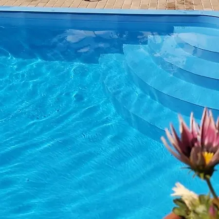 招待所 Diofa Vendeghazak