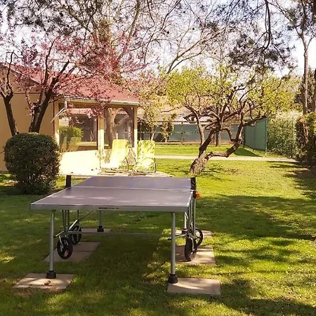 招待所 Diofa Vendeghazak 4*