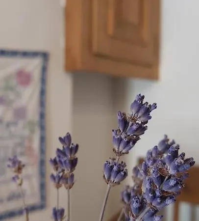 招待所 Diofa Vendeghazak