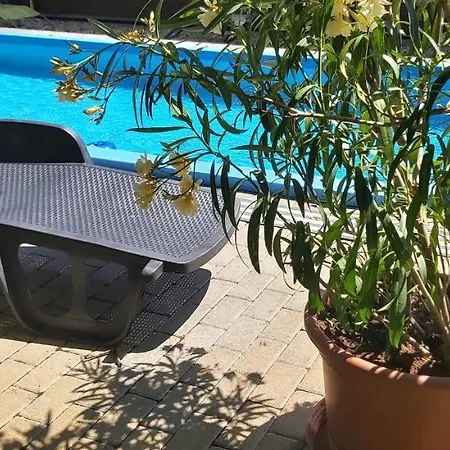 Diofa Vendeghazak 招待所